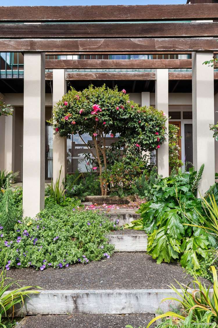 43 Manurere Avenue Takapuna_17