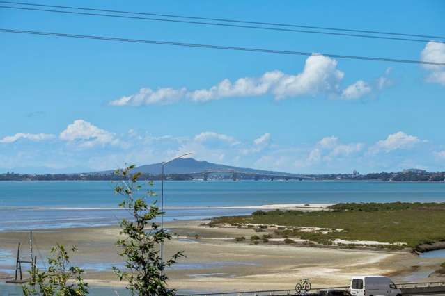 44D Alwyn Avenue Te Atatu South_3