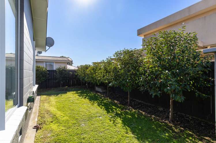 105 Scott Street Blenheim_20