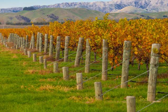 96 Shandon Road Waihopai Valley_3