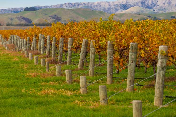 96 Shandon Road Waihopai Valley_3