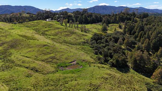 46 Buchanan Road Broadwood_1