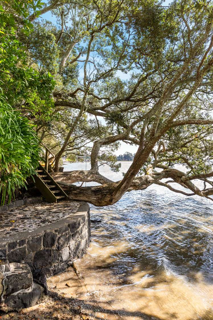 14 Rawene Avenue Westmere_16