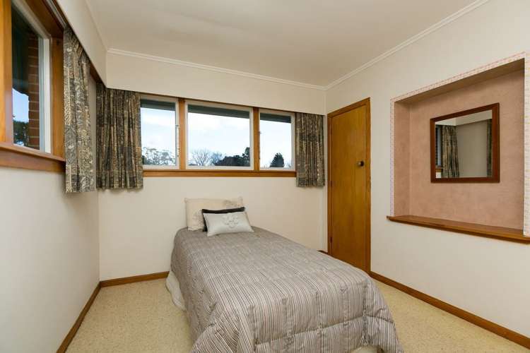 256a Carrington Street Vogeltown_11
