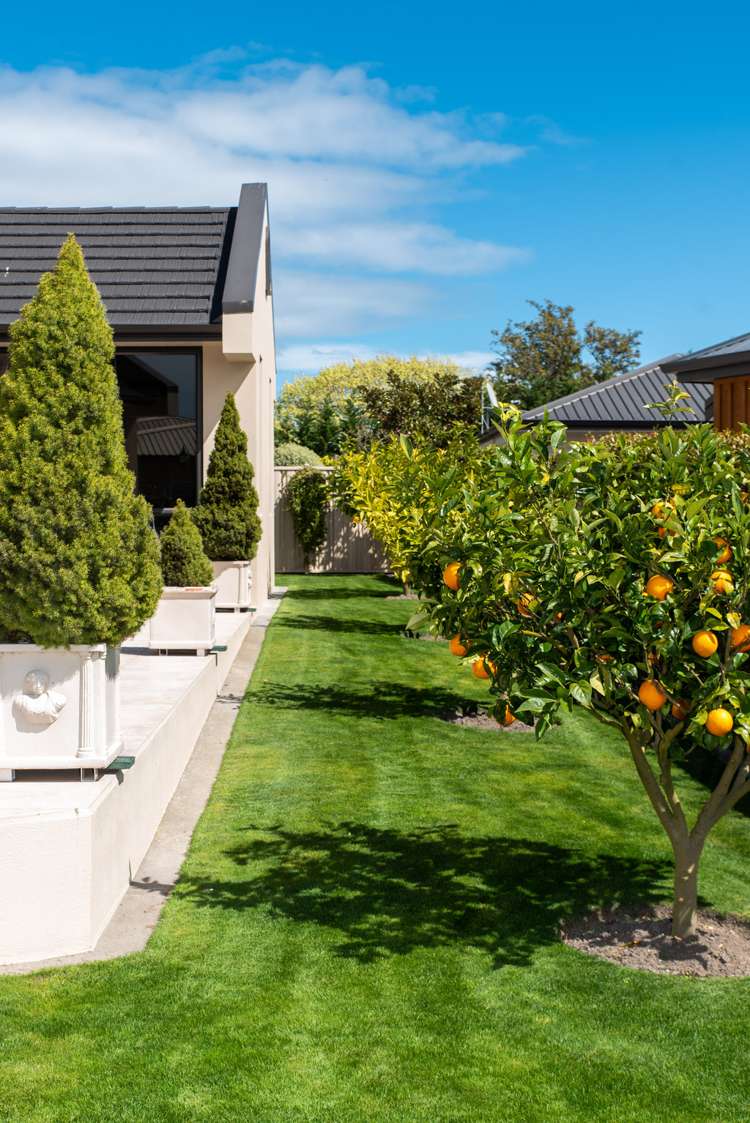 153 Middle Road Havelock North_9