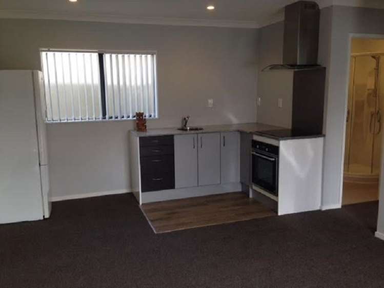 4 Manning Rise Flat Bush_0