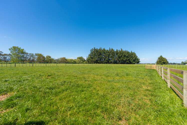 168D Nannestads Line Bunnythorpe_23