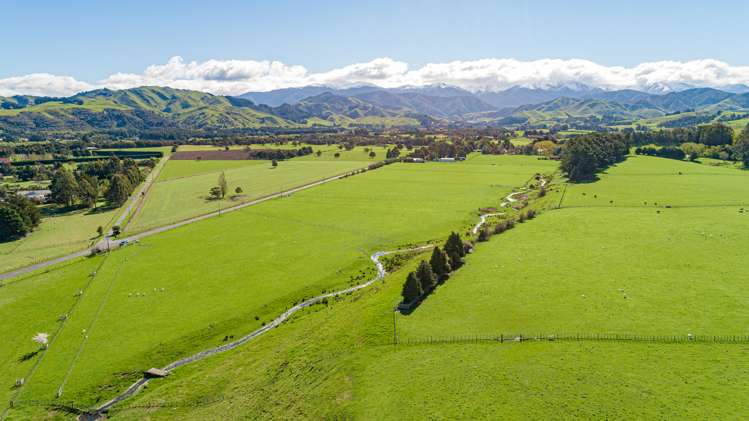 Upper Plain Road - Lot 3 Masterton_3