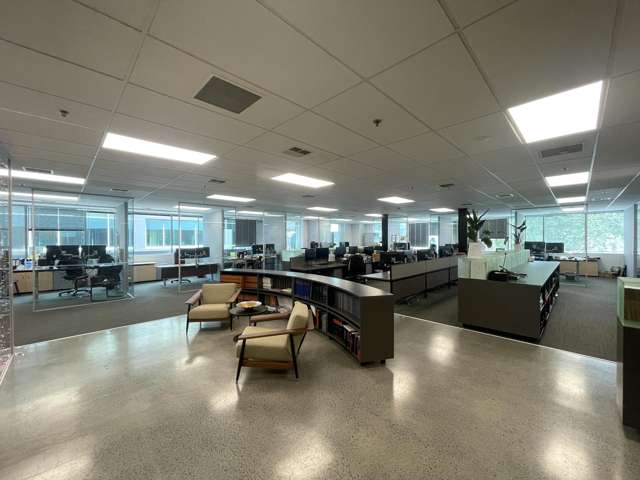 123 Carlton Gore Road Newmarket_1