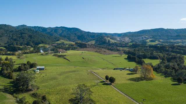 240 Rea Road Hauraki Surrounds_1