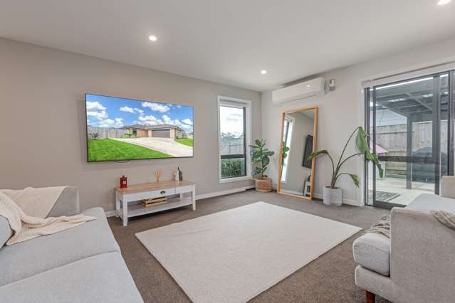 11 Monarch Drive Ashhurst_4