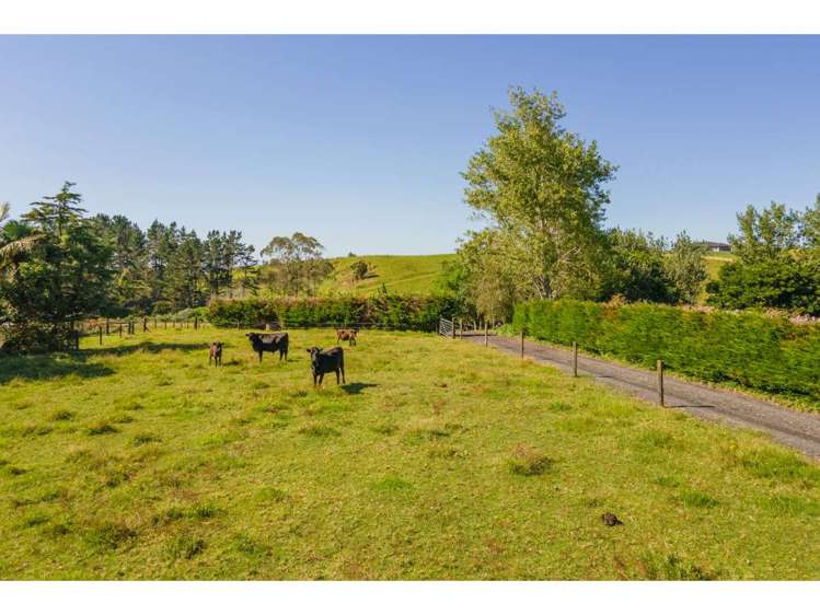 83 Sandys Road Kerikeri Surrounds_23