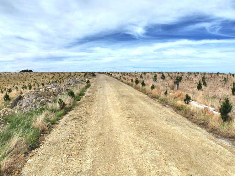 174 McCulloch Road Awamangu_13