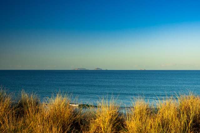 4 Christie Close Pataua North_1