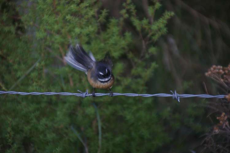 275 Wainui Valley Road Wainui_13