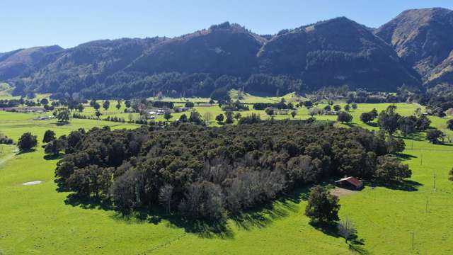 84 Loop Road East Takaka_4