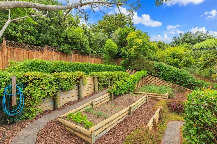 2a Glen Oaks Saint Heliers_19