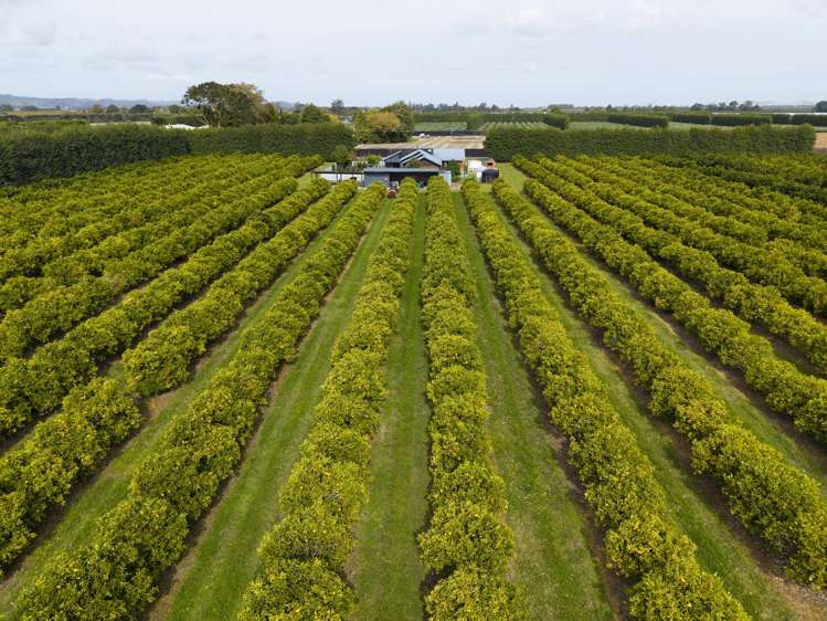 18 Jackson Road Waerengaahika_24