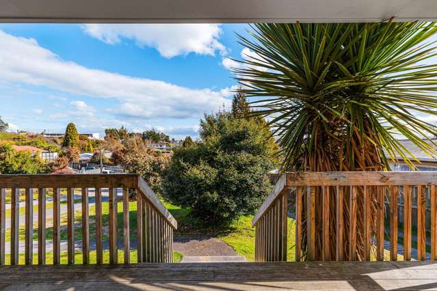 78 Elizabeth Street Tauhara_2