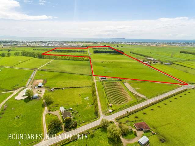 117 Bell Road Papamoa_3