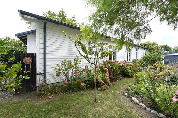 153 Vigor Brown Street Napier South_18