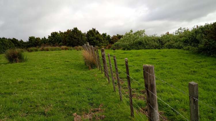 Lots 4,5,6 Taheke Road Taheke_3