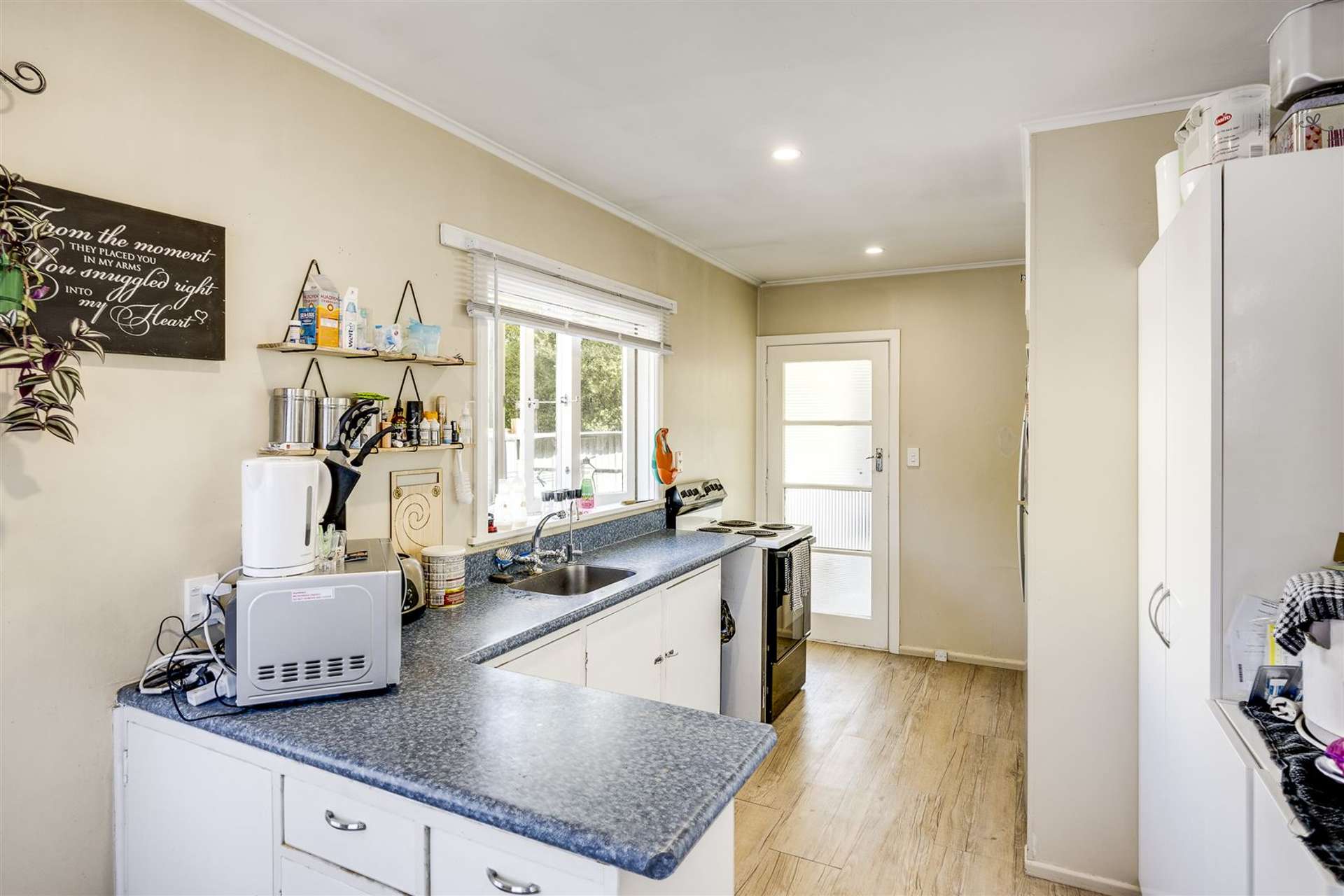 58a Downing Avenue Pirimai_0
