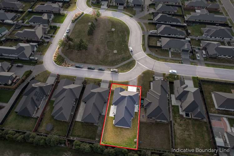 20 Pallid Green Rolleston_18