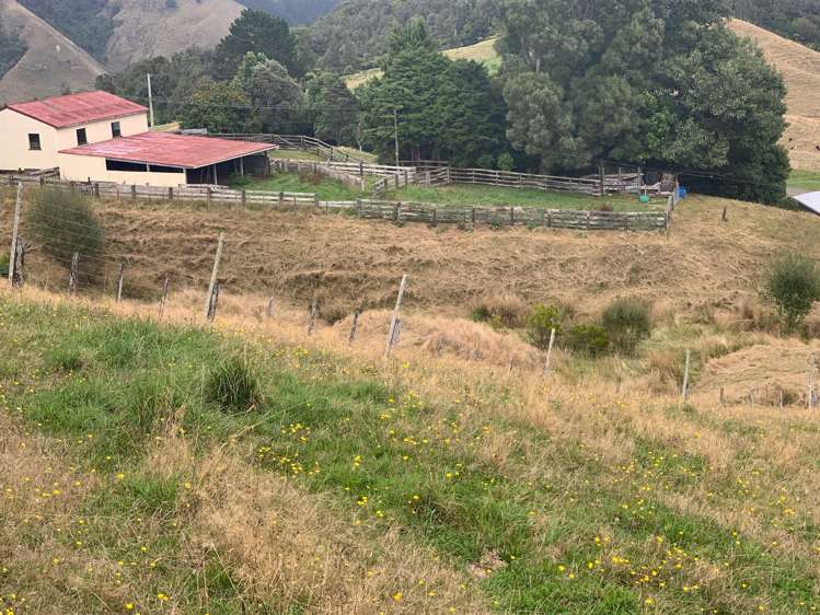 233 Goble Road Paeroa_10