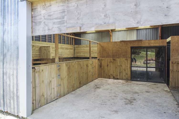 259 Mcphail Road Oropi_16