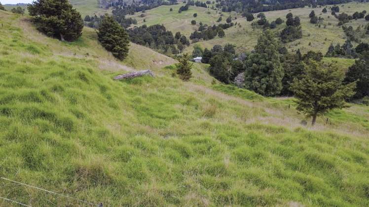 661a Omaunu Road Kaeo_7