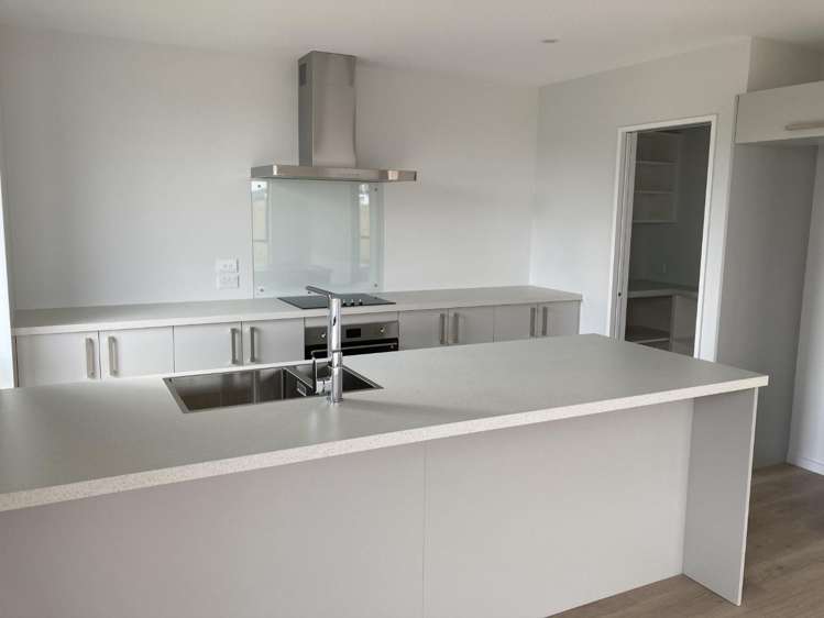 25 Borthwick Street Belfast_3