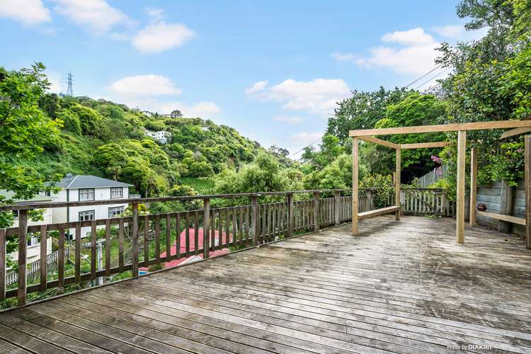 45 Holloway Road Aro Valley_10