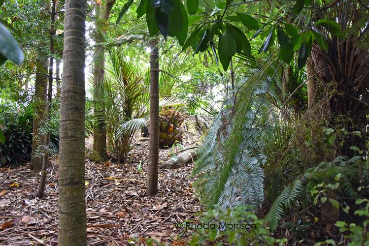 45 Gorge Road Maungaturoto_20