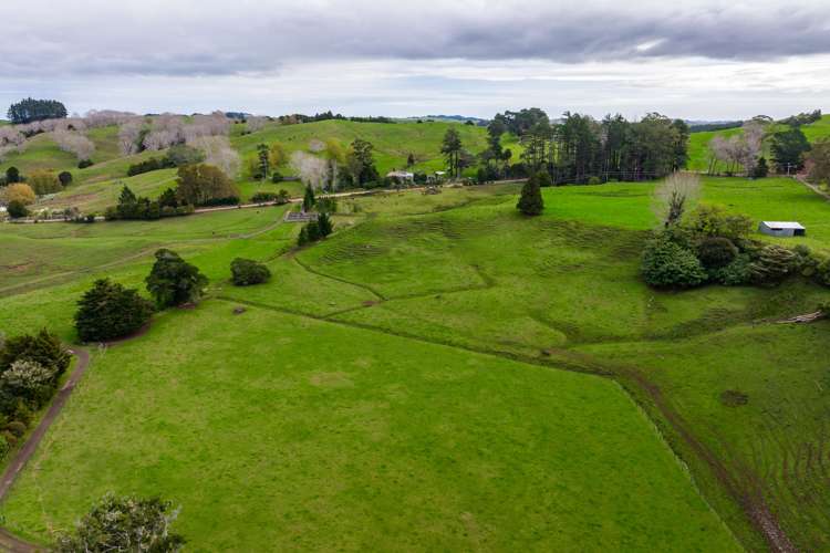 Omana Road Tangiteroria_11