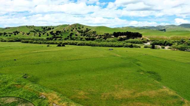 253 Oringi Road Dannevirke_4