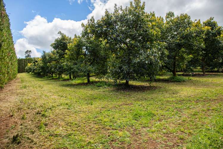 143 Norris Road Maungatapere_7