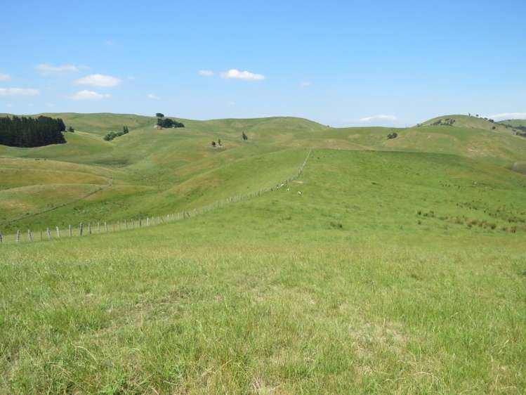 602 Esdaile Road Pongaroa_3