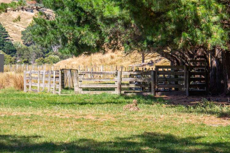 5645 Masterton Castlepoint Road Tinui_17