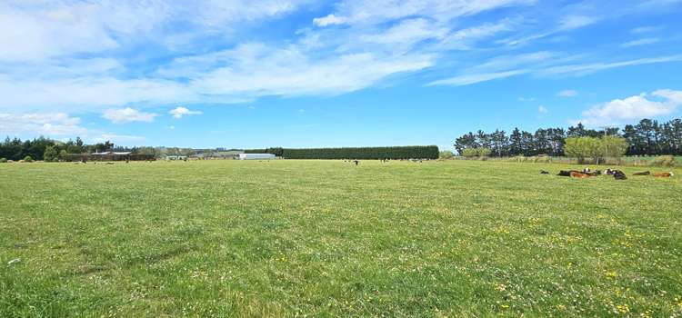 391A Otama Road Otama_16