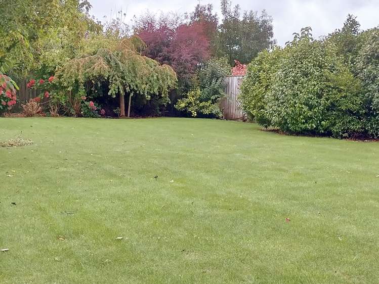 15 Guinane Street Dannevirke_17