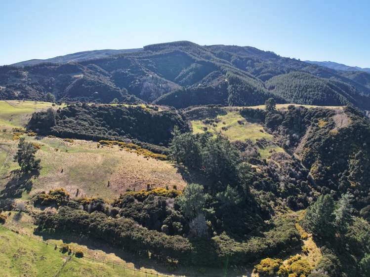 121 Silverstream Valley Road North Taieri_12