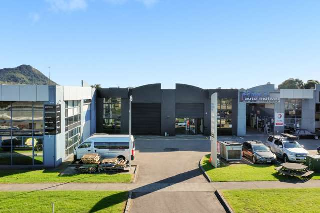 26 Matai Street Mt Maunganui_4