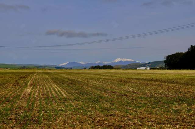 Lot 2 Willowbridge Road Waimate_3