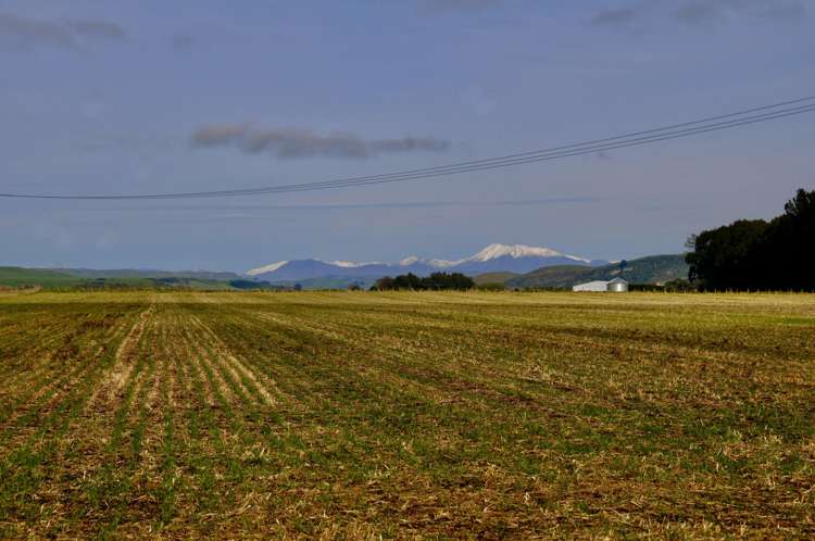 Willowbridge Road Waimate_11