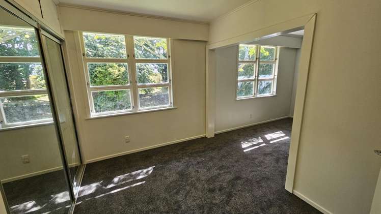 275a Carrington Street Vogeltown_4