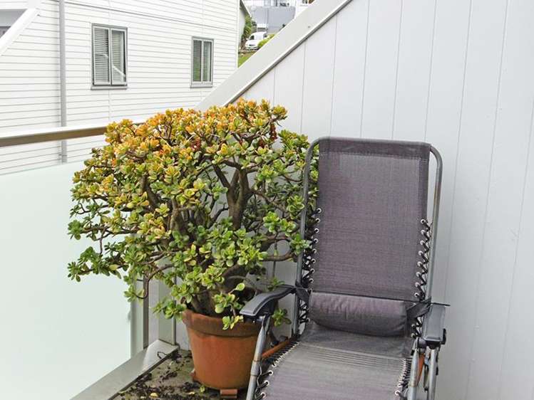 17/29 Rossmay Terrace Mount Eden_10