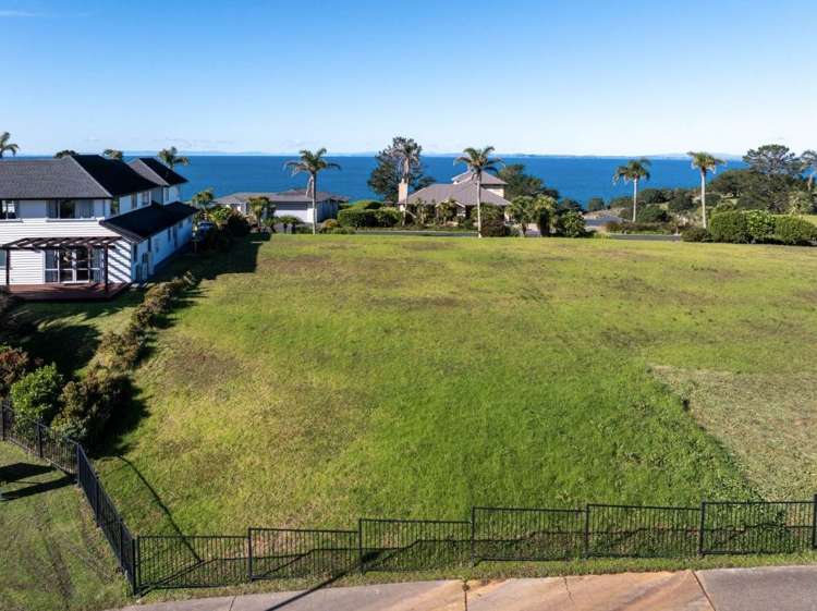 4 Palm View Terrace_5