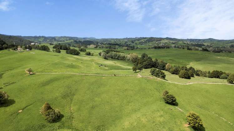 2051 Paparoa-Oakleigh Road Taipuha_13