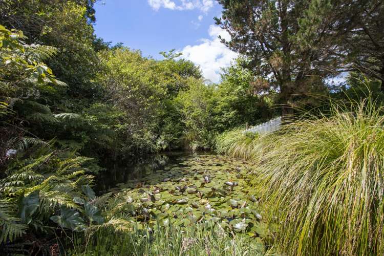 11a Symonds Street Waihi_6